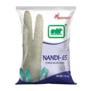 Nandi-65 Hybrid Bajra Seed