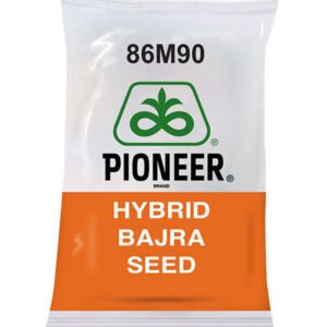 Pioneer Hybrid Bajra Seeds